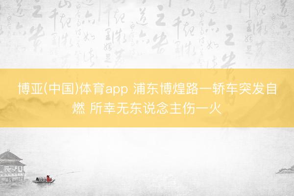 博亚(中国)体育app 浦东博煌路一轿车突发自燃 所幸无东说念主伤一火