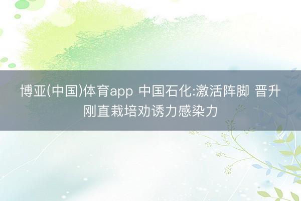 博亚(中国)体育app 中国石化:激活阵脚 晋升刚直栽培劝诱力感染力