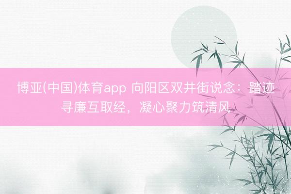 博亚(中国)体育app 向阳区双井街说念：踏迹寻廉互取经，凝心聚力筑清风