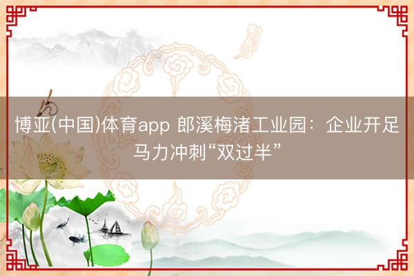博亚(中国)体育app 郎溪梅渚工业园：企业开足马力冲刺“双过半”