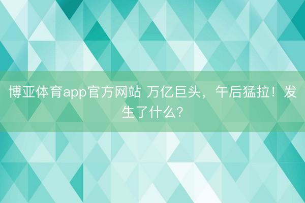 博亚体育app官方网站 万亿巨头，午后猛拉！发生了什么？