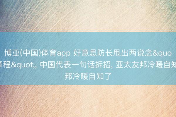 博亚(中国)体育app 好意思防长甩出两说念"章程"， 中国代表一句话拆招， 亚太友邦冷暖自知了