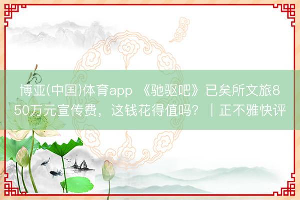 博亚(中国)体育app 《驰驱吧》已矣所文旅850万元宣传费，这钱花得值吗？｜正不雅快评