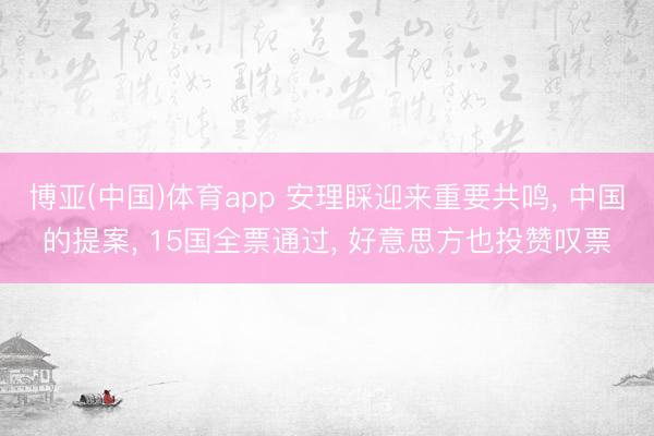 博亚(中国)体育app 安理睬迎来重要共鸣， 中国的提案， 15国全票通过， 好意思方也投赞叹票