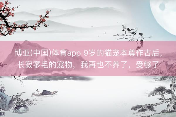 博亚(中国)体育app 9岁的猫宠本尊作古后，长寂寥毛的宠物，我再也不养了，受够了